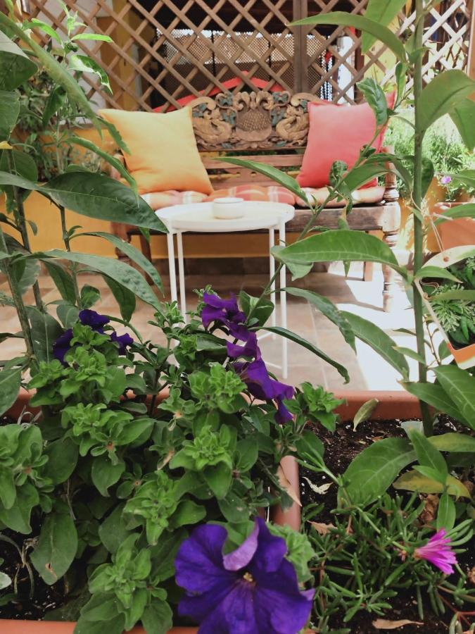 Homestay Dudi's Peppers *