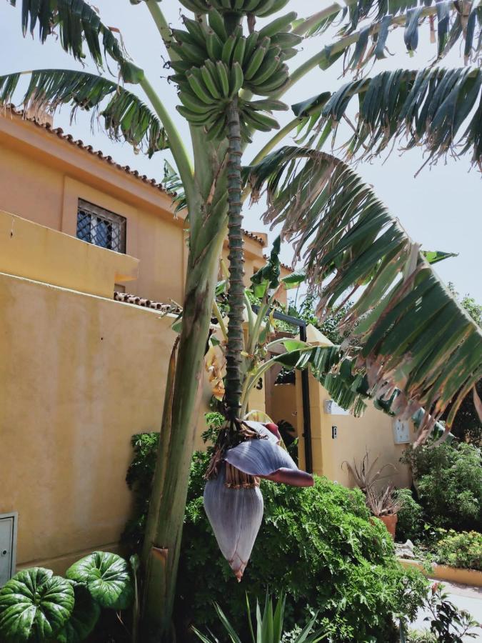 Dudi's Peppers Homestay *